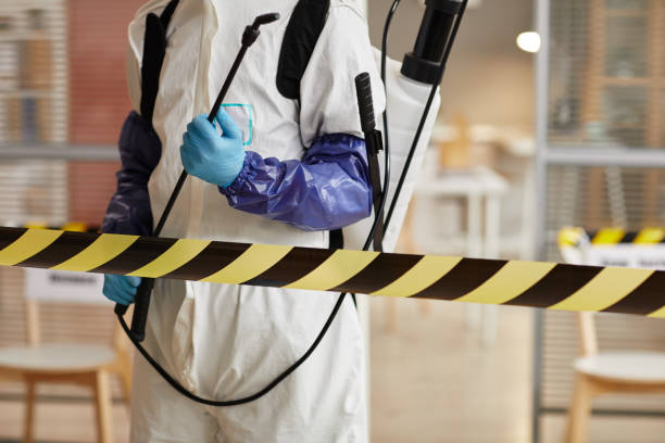 Professional Biohazard technician working in Sloan, NV